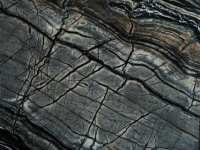 Marmo Black Wood