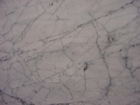 Carrara venatino.