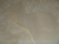 Marmo Onice Bianco crema