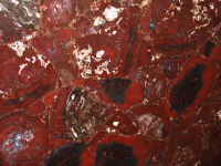 Legno rosso fossile