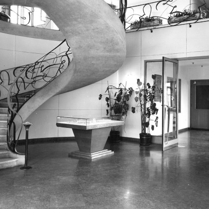 Carrara Marble Flooring Tiles