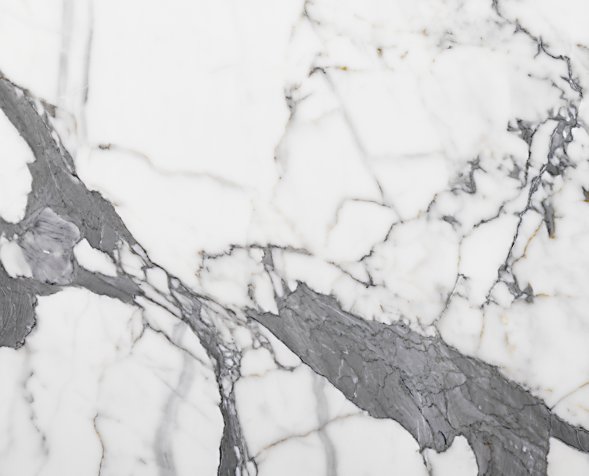 Luxury Carrara Marble Slabs