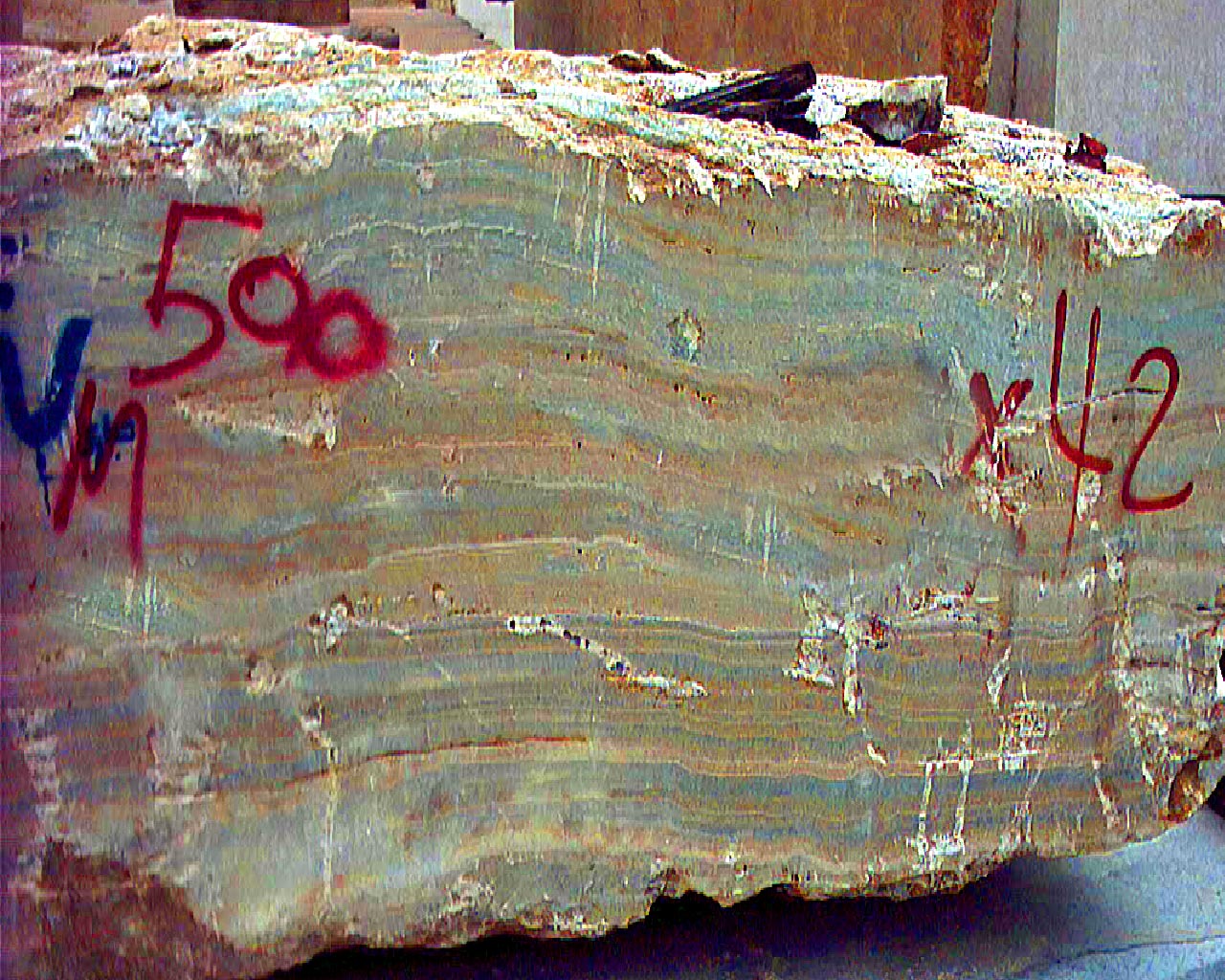 Luxury Carrara Marble Slabs