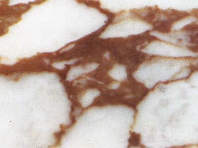 CALACATTA VAGLI EXTRA