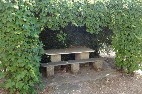 Bespoke Carrara Marble Installations