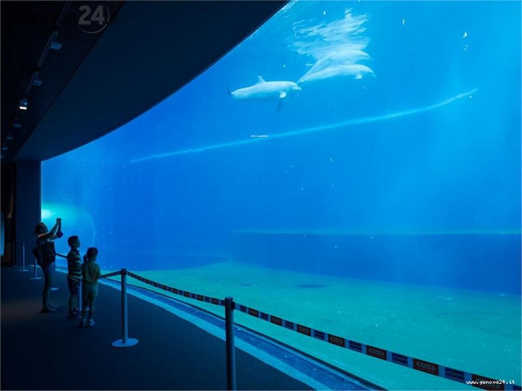 Bespoke Carrara Marble Installations