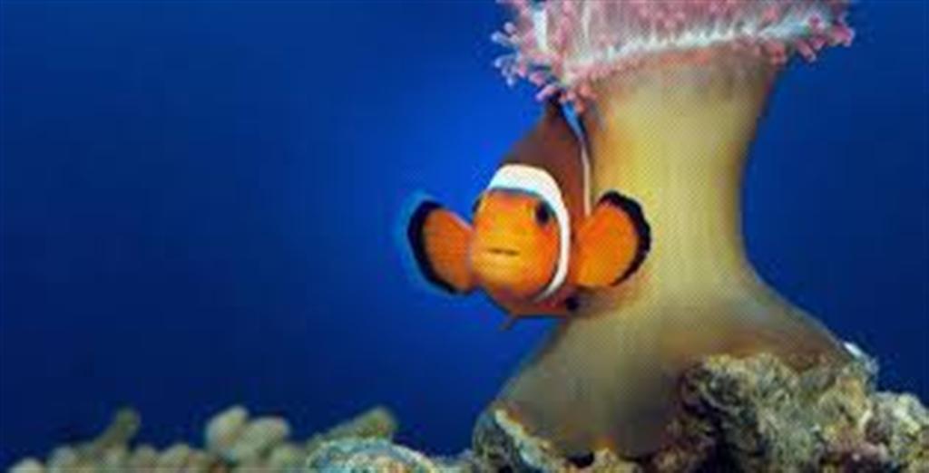 Bespoke Carrara Marble Installations