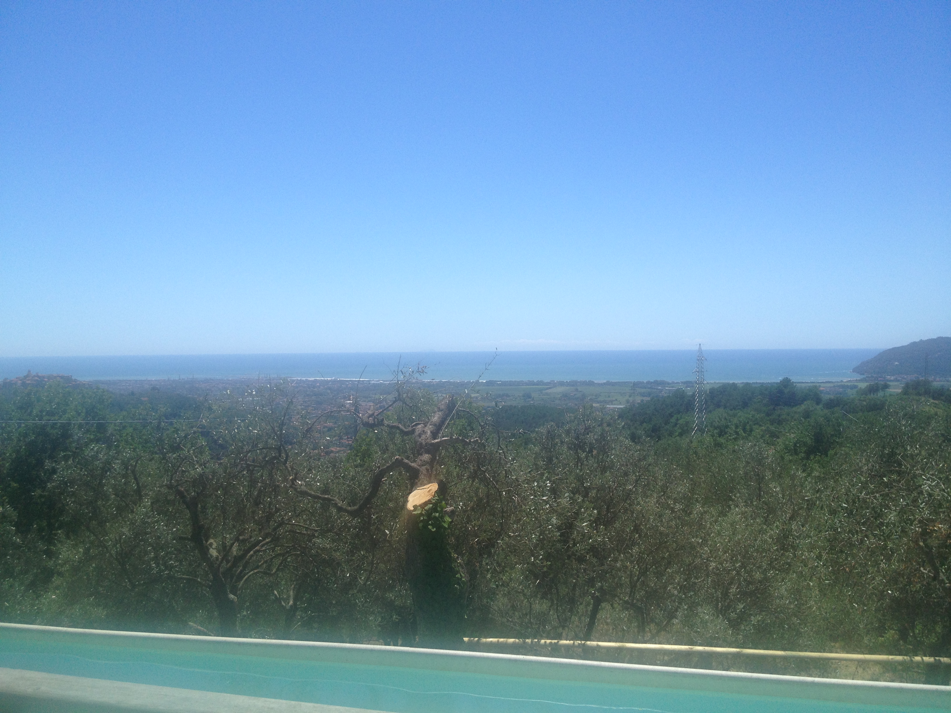 Bespoke Carrara Marble Installations