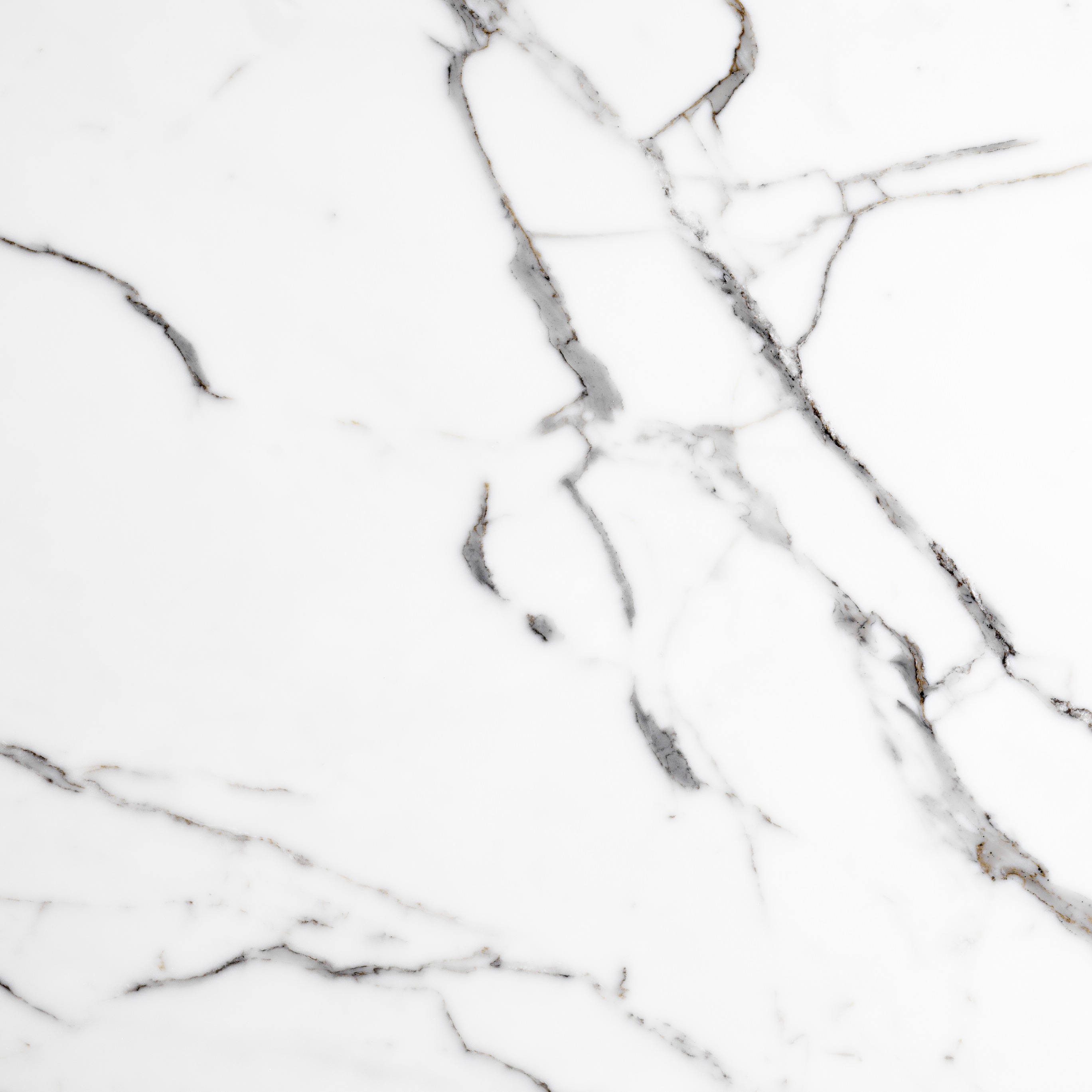 Bespoke Carrara Marble Installations