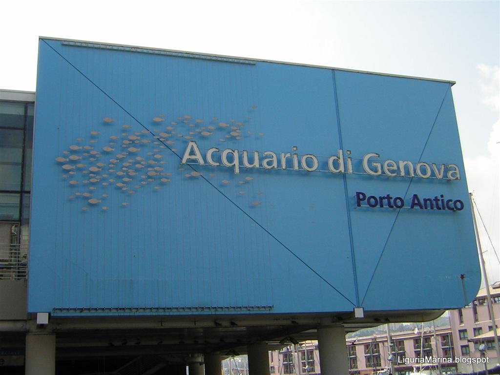 Bespoke Carrara Marble Installations