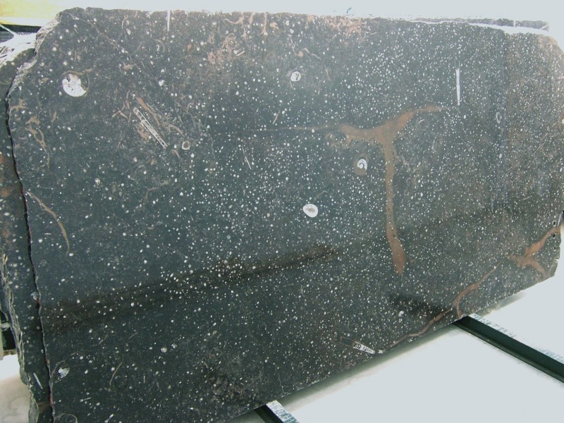 Bespoke Carrara Marble Installations