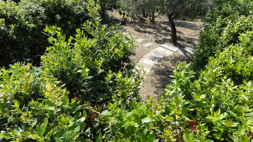 Bespoke Carrara Marble Installations