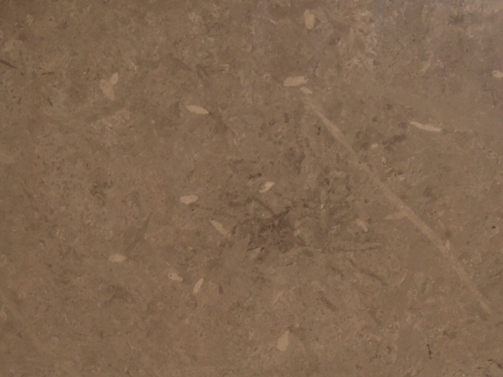 Bespoke Carrara Marble Installations