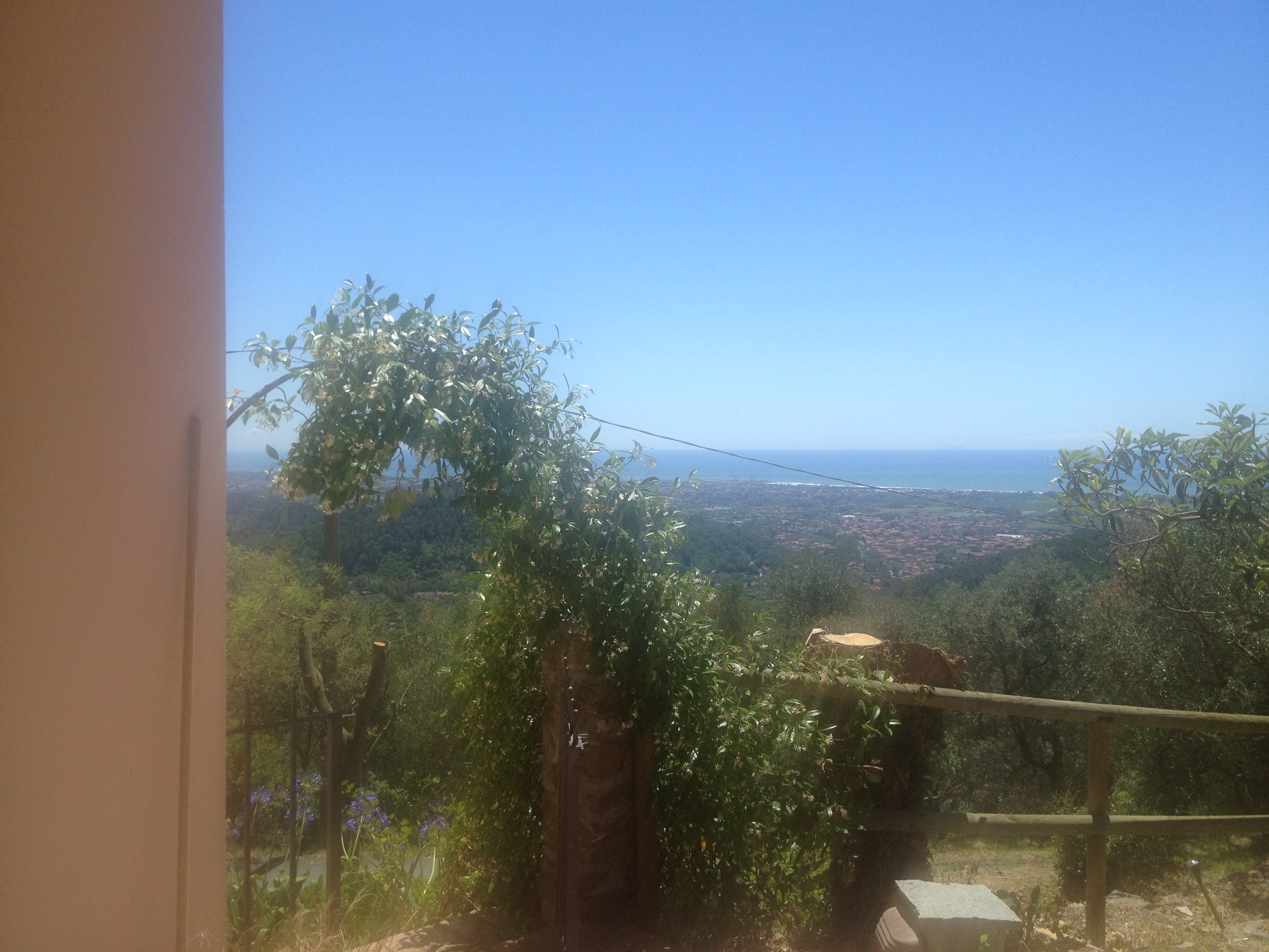 Bespoke Carrara Marble Installations