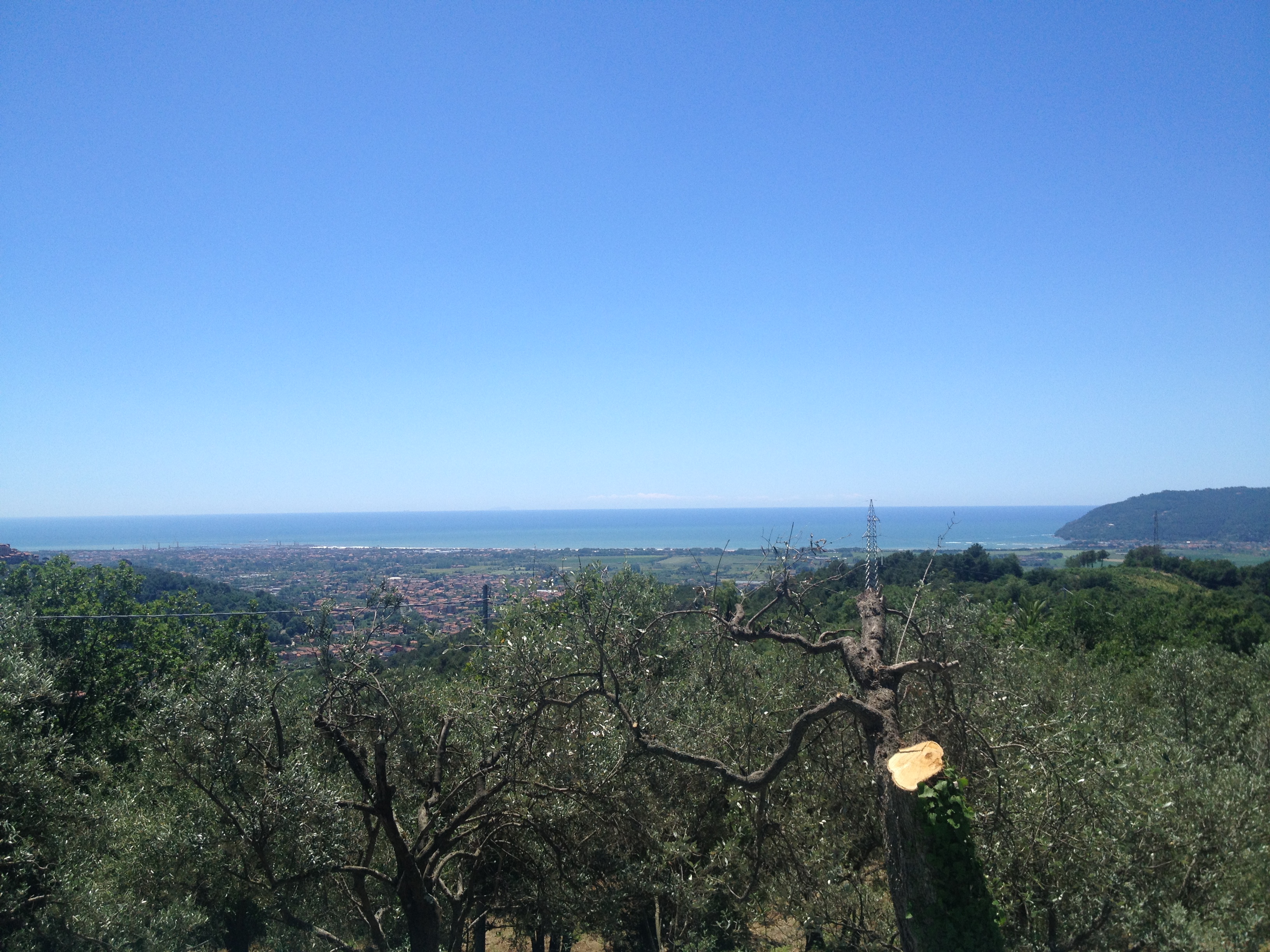 Bespoke Carrara Marble Installations