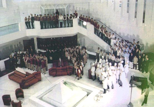 Bespoke Carrara Marble Installations