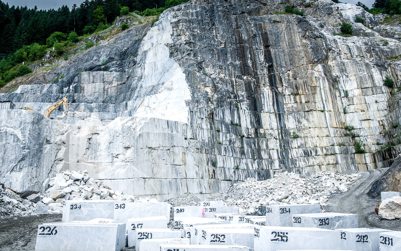 Bespoke Carrara Marble Installations