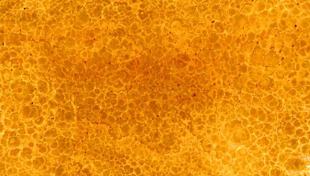 Bespoke Carrara Marble Installations