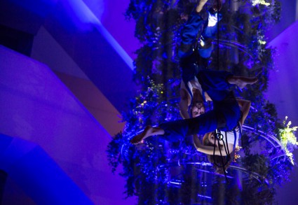 Bespoke Carrara Marble Installations