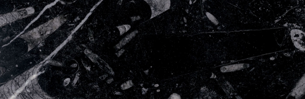 Bespoke Carrara Marble Installations