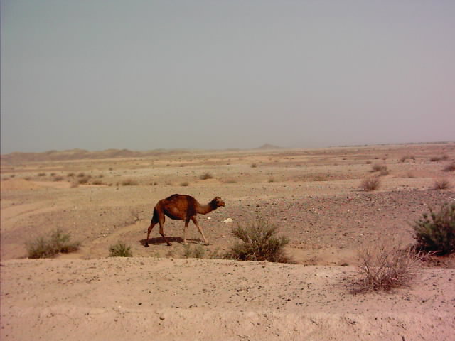 Bespoke Carrara Marble Installations