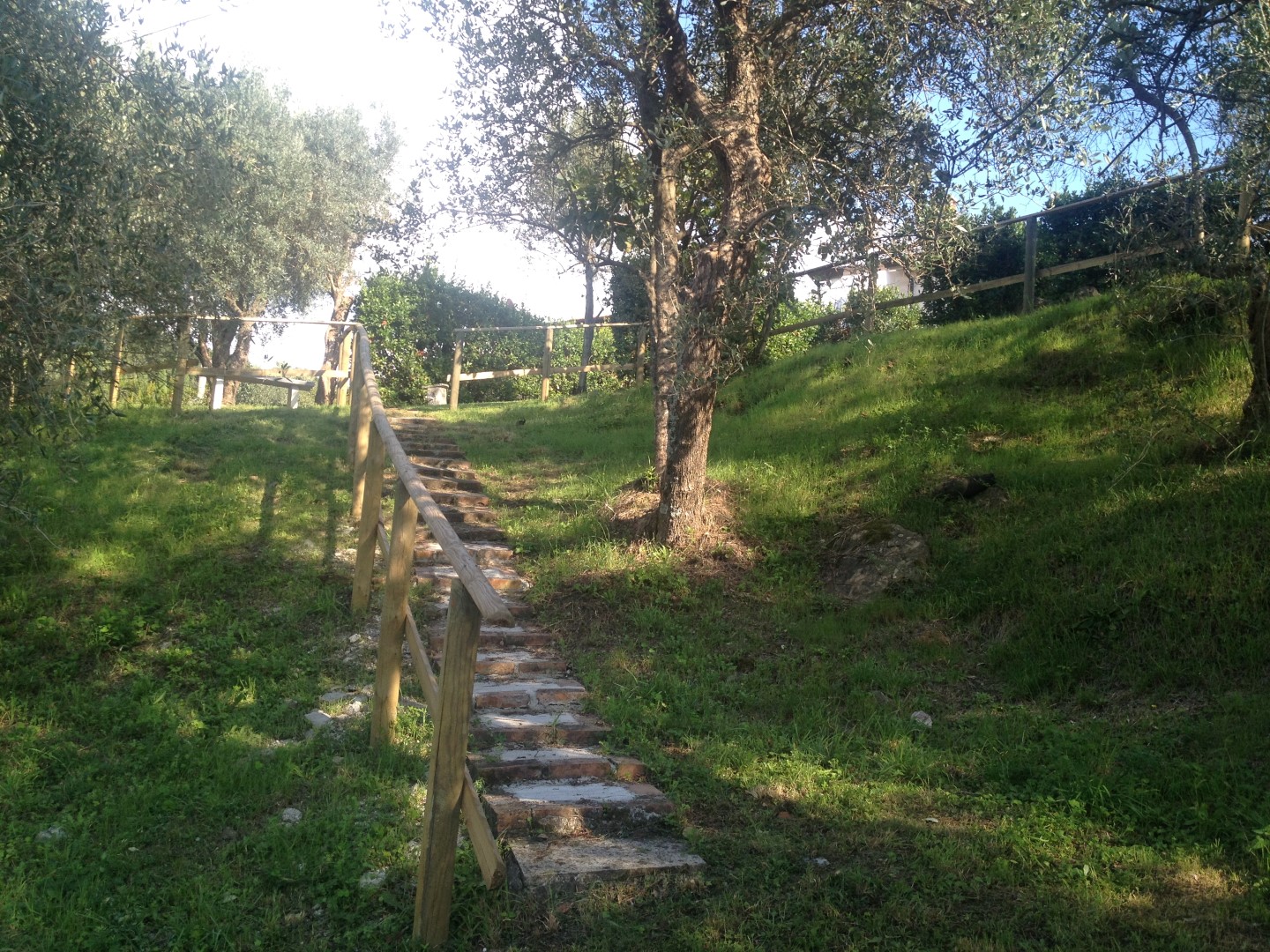 Bespoke Carrara Marble Installations