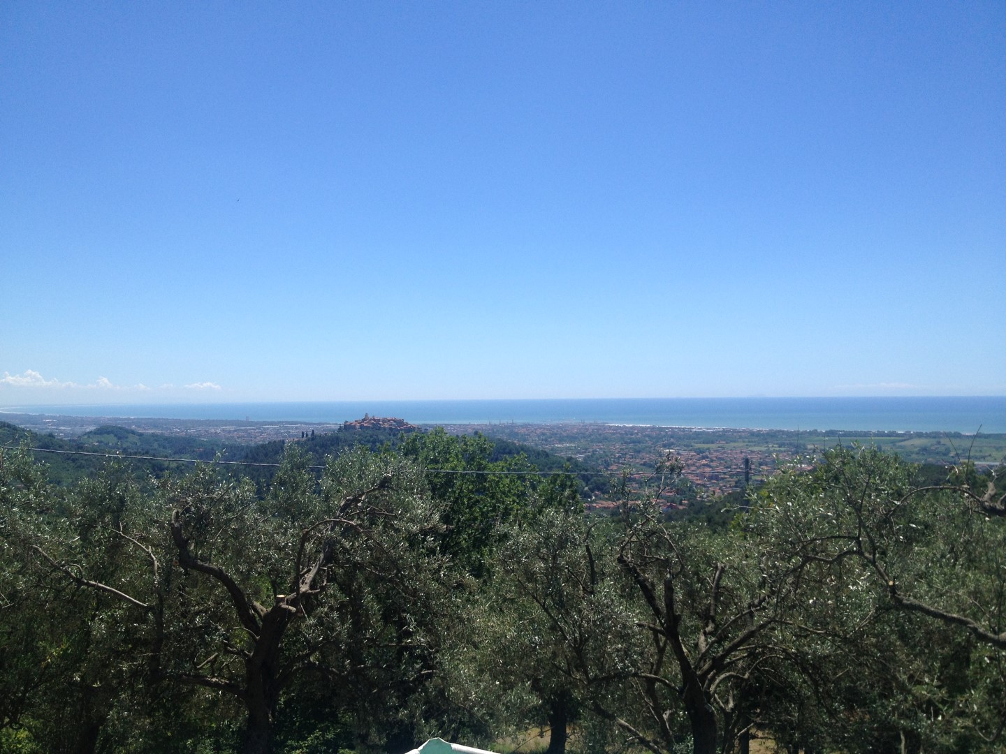 Bespoke Carrara Marble Installations