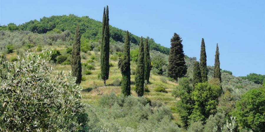 Bespoke Carrara Marble Installations