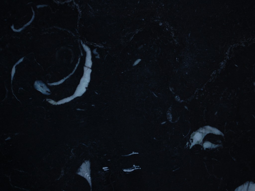 Bespoke Carrara Marble Installations