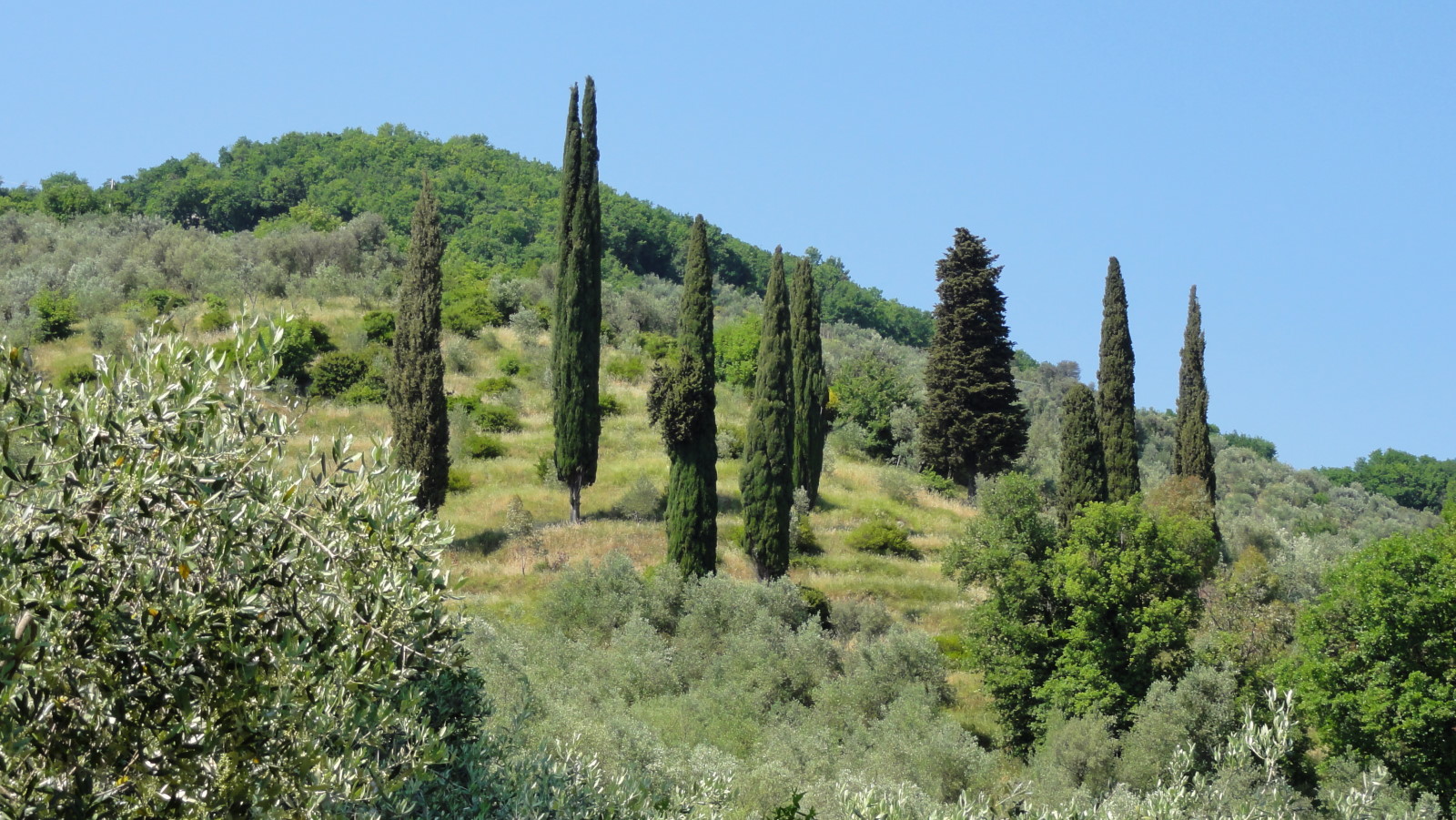 Bespoke Carrara Marble Installations