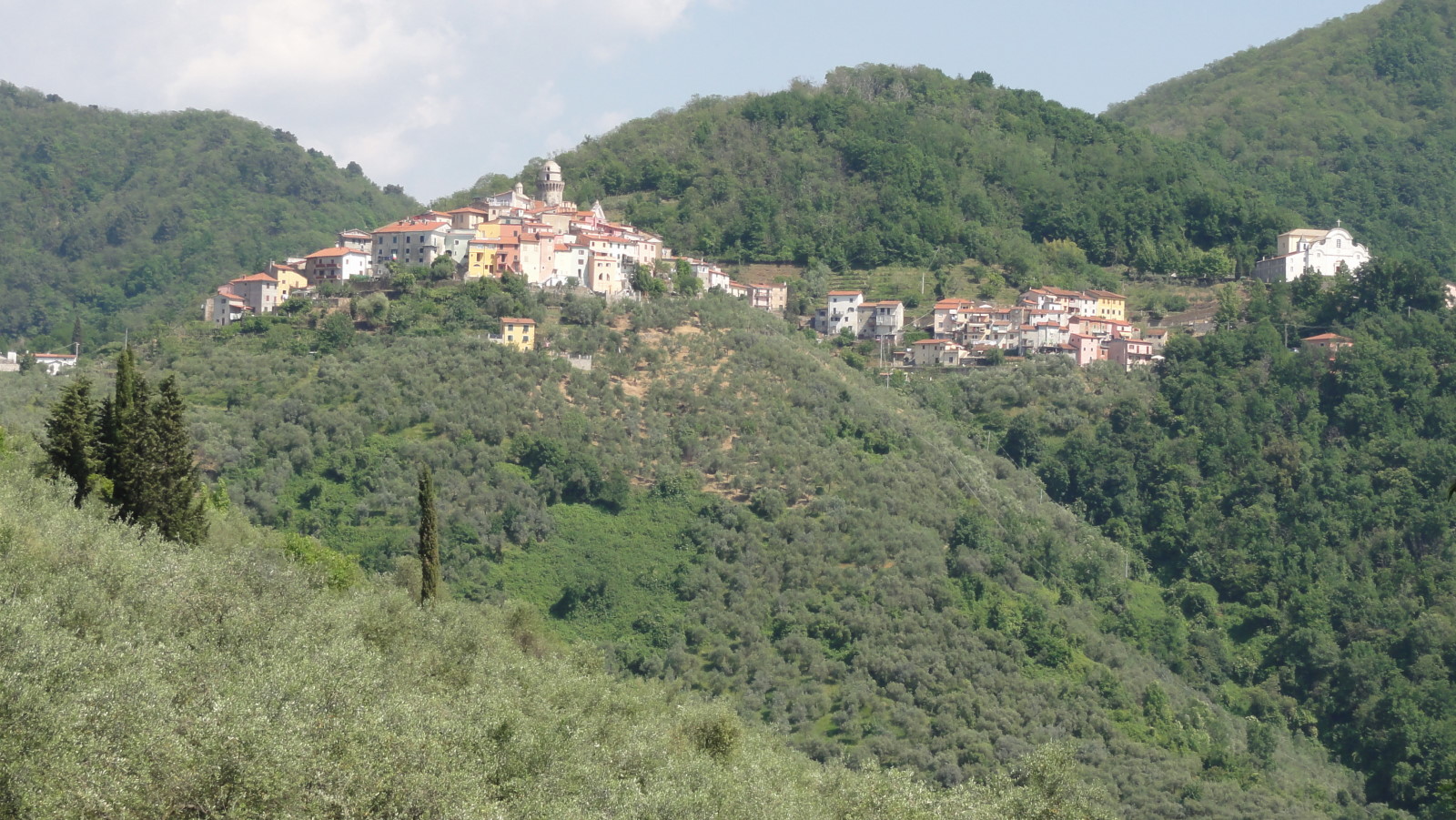 Bespoke Carrara Marble Installations