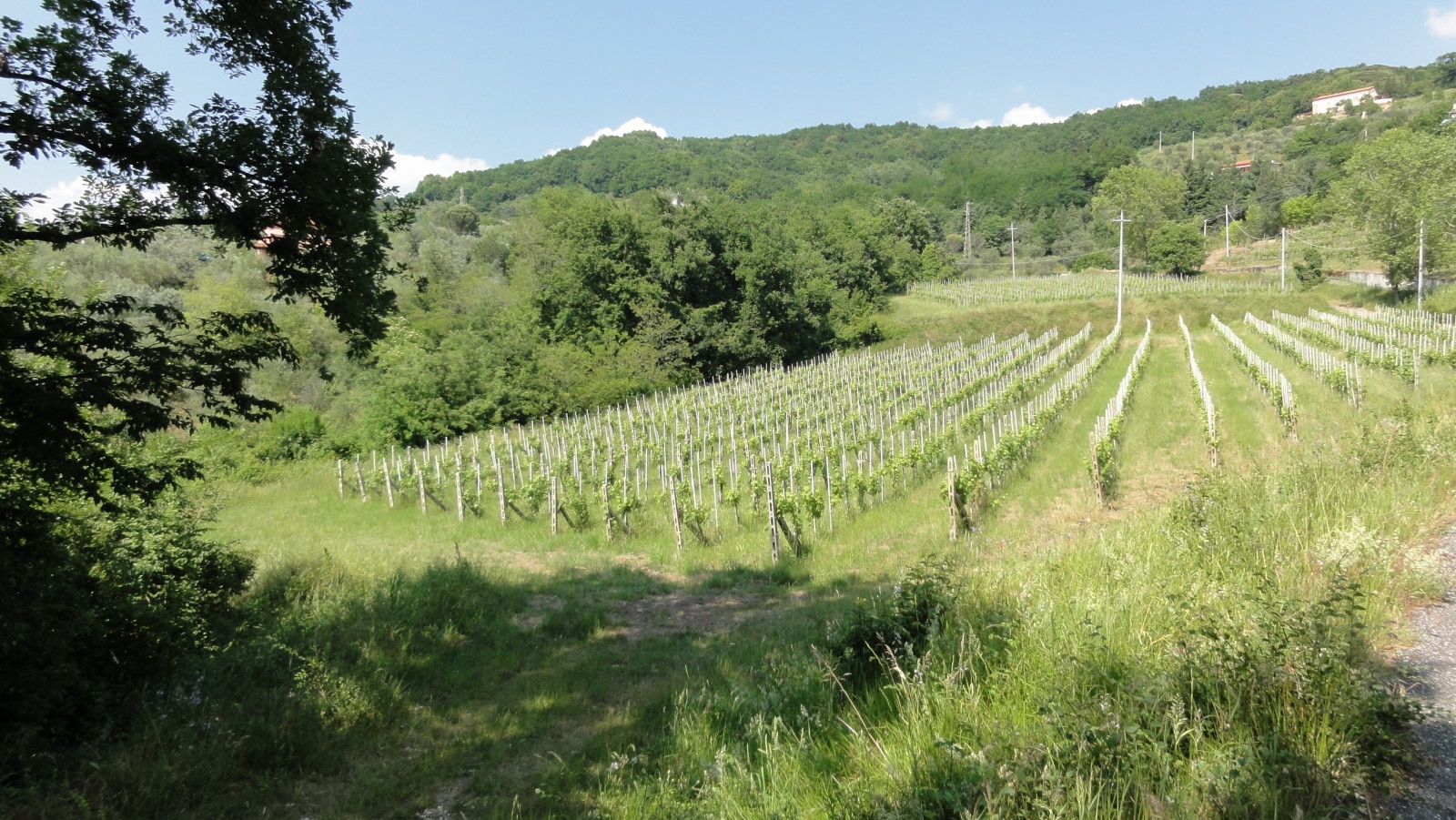 Bespoke Carrara Marble Installations