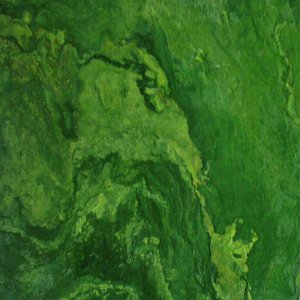 Bespoke Carrara Marble Installations