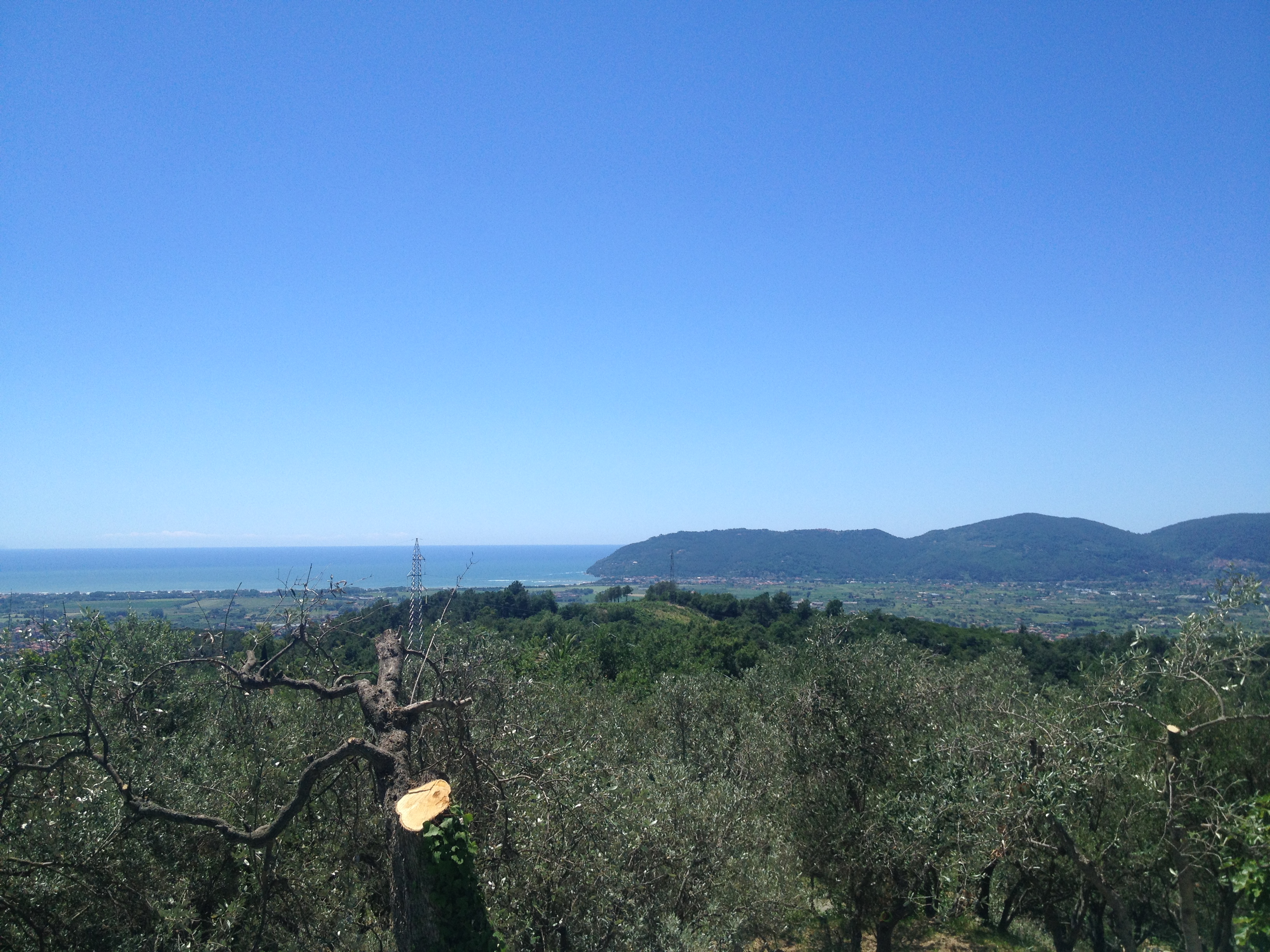 Bespoke Carrara Marble Installations