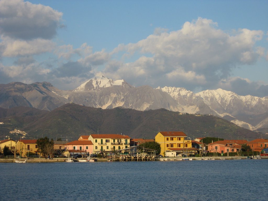 Bespoke Carrara Marble Installations
