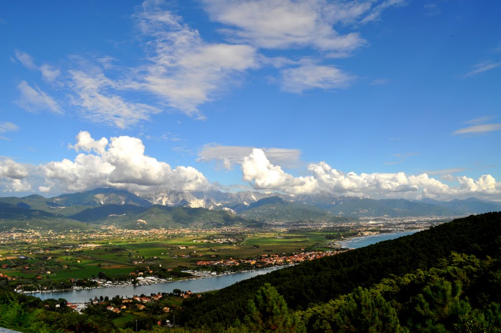 Bespoke Carrara Marble Installations