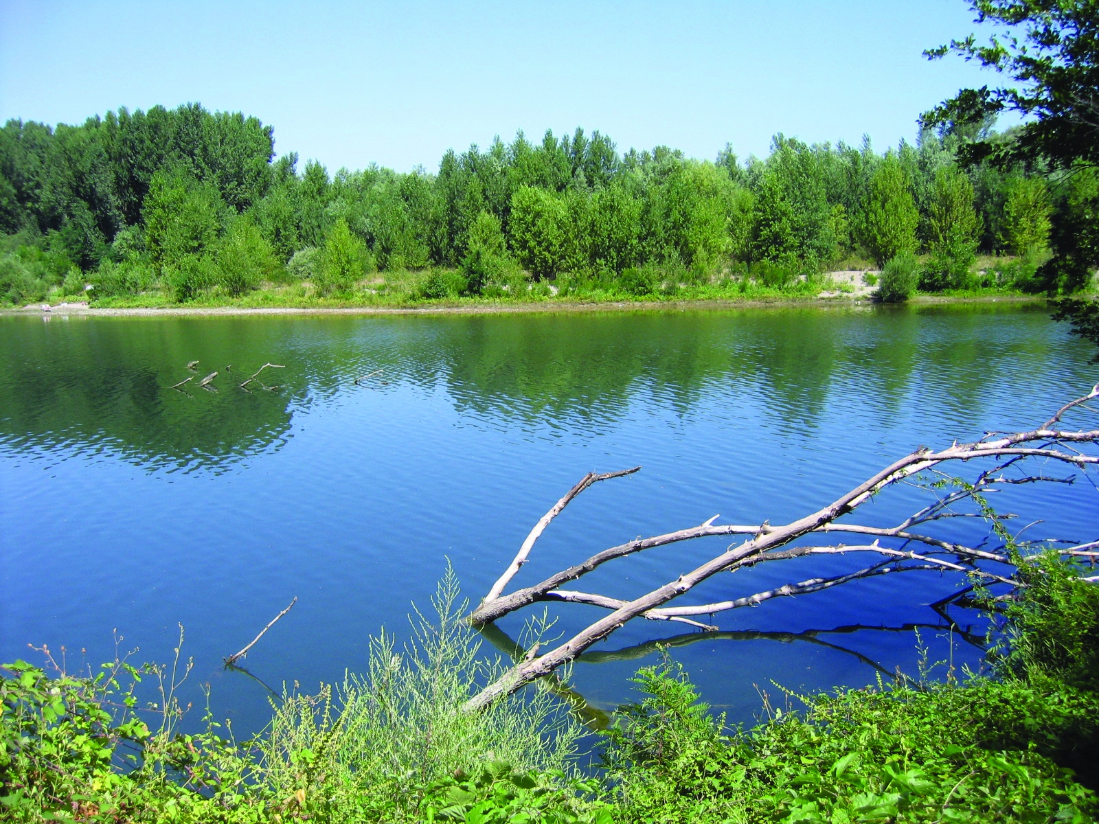 Bespoke Carrara Marble Installations