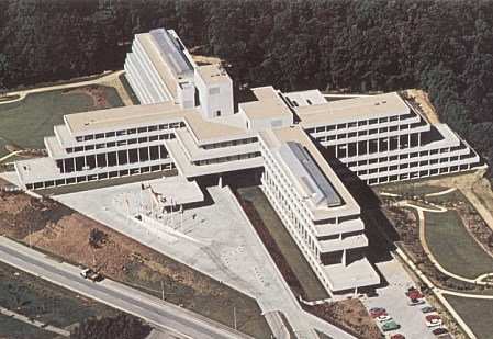 Bespoke Carrara Marble Installations