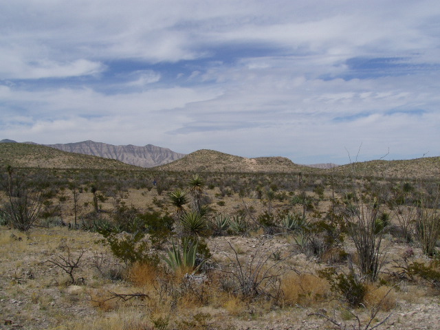 Bespoke Carrara Marble Installations