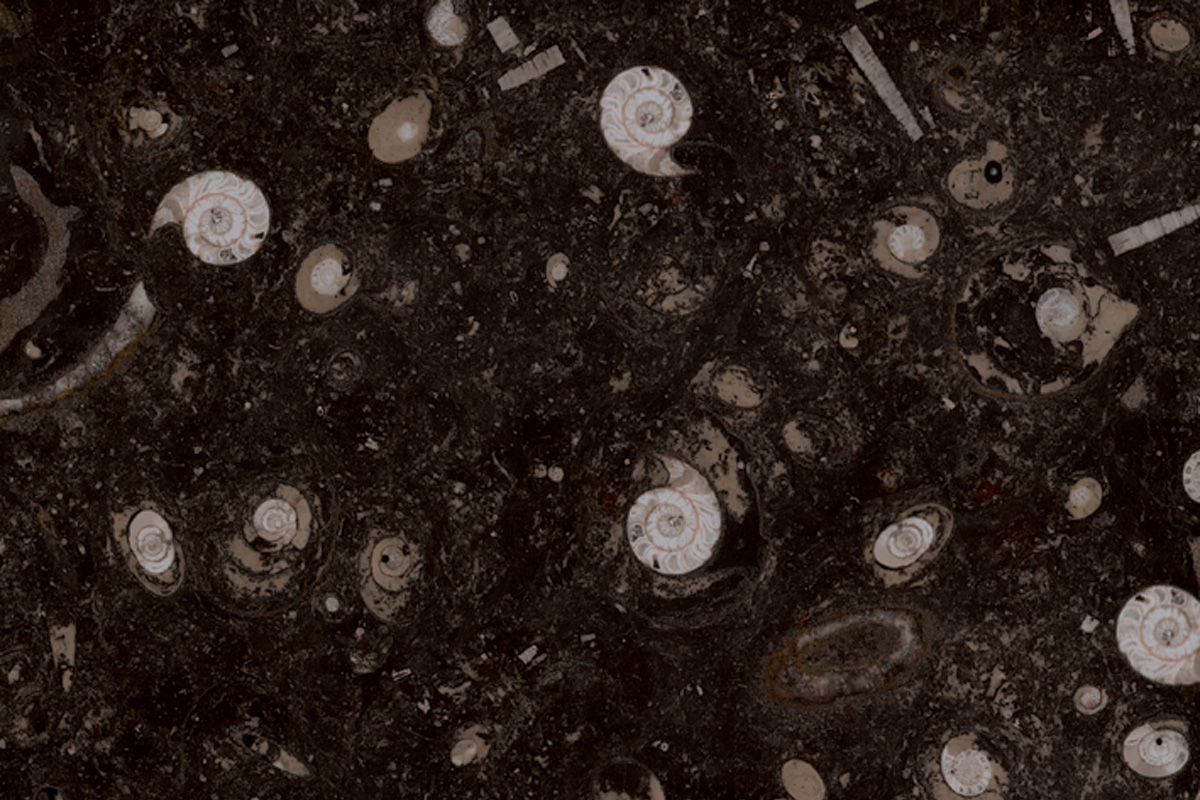 Bespoke Carrara Marble Installations