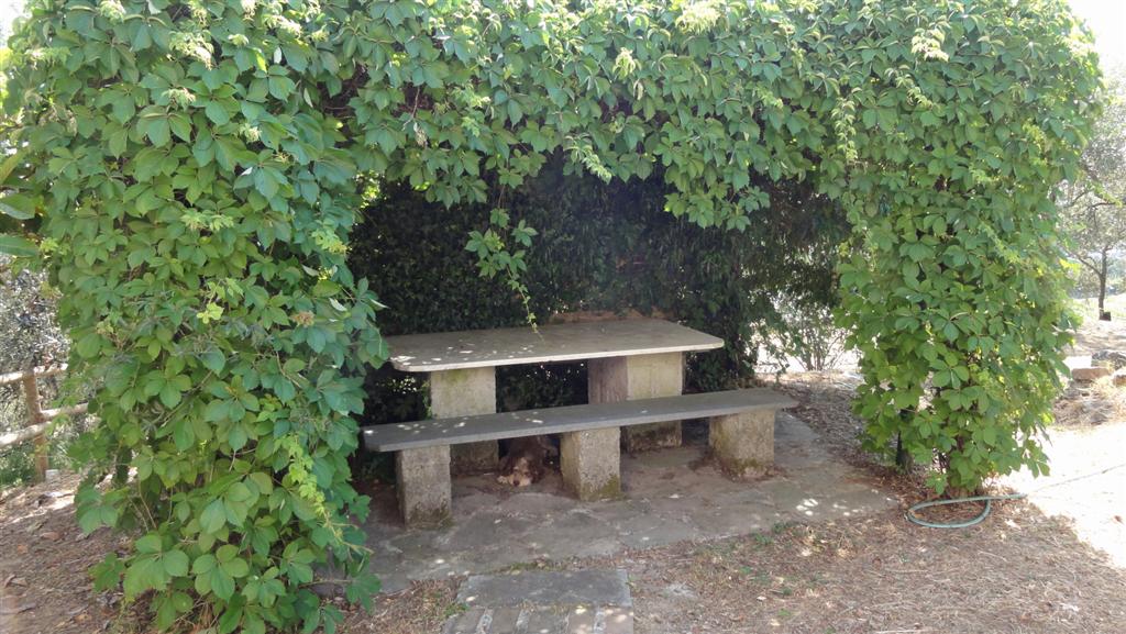 Bespoke Carrara Marble Installations