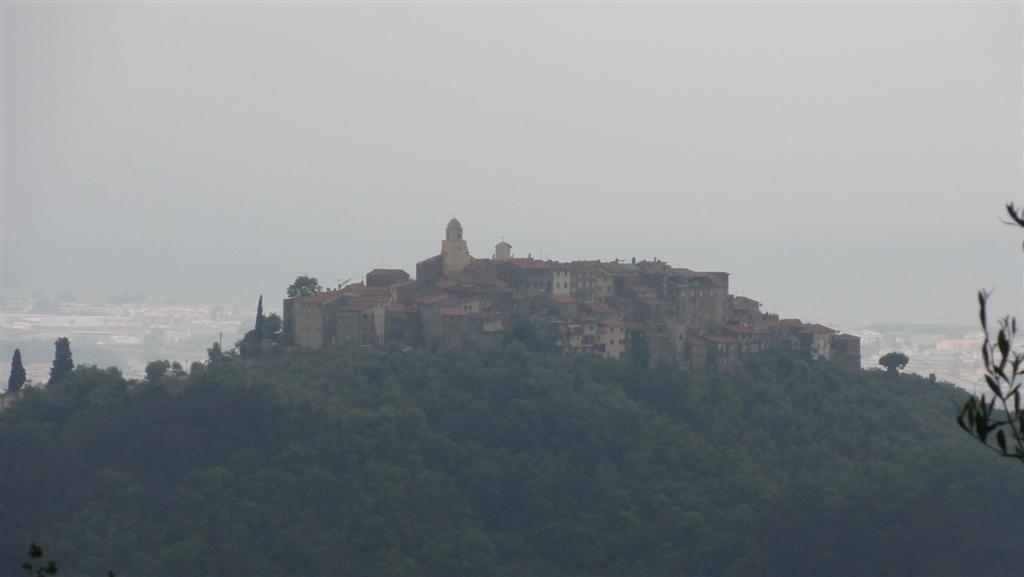 Bespoke Carrara Marble Installations