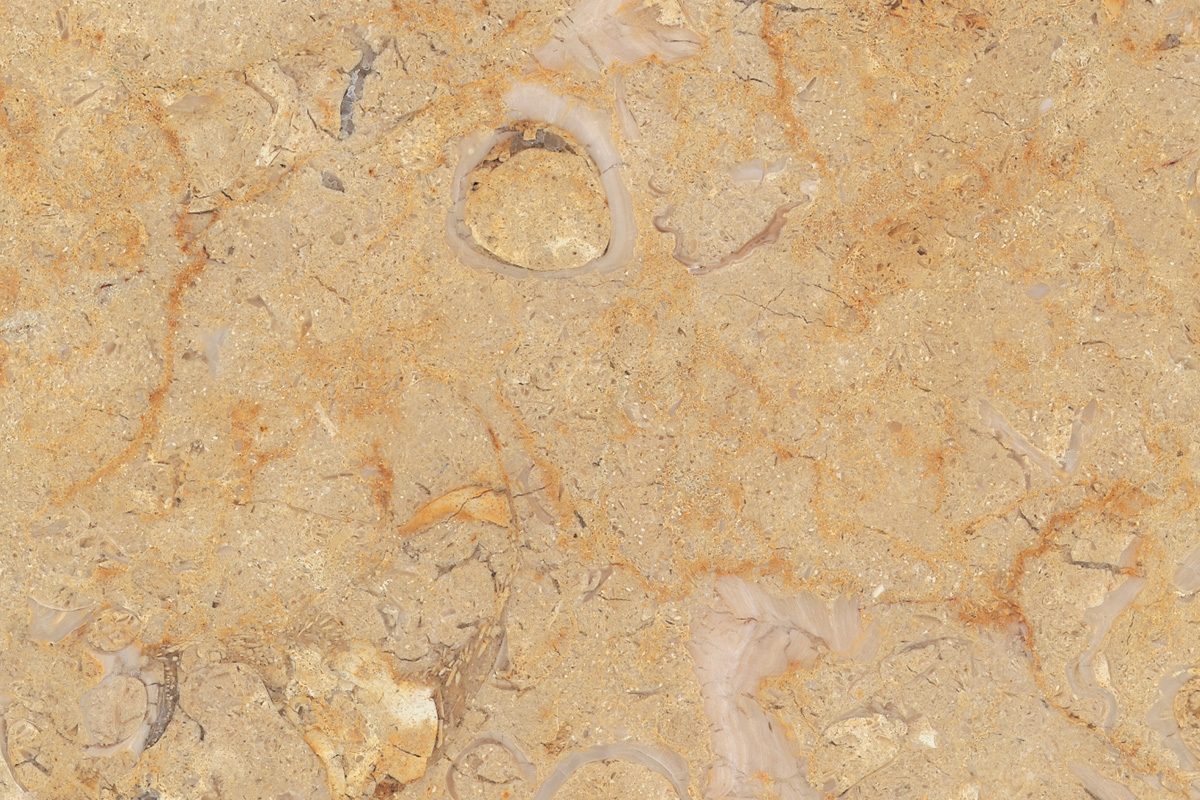 Bespoke Carrara Marble Installations