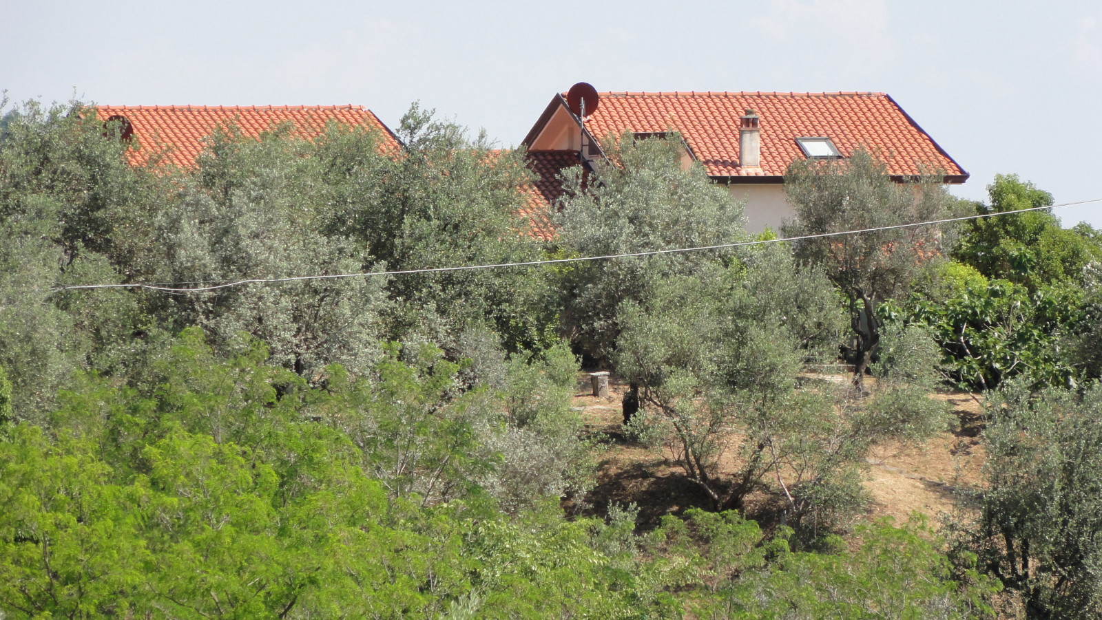 Bespoke Carrara Marble Installations