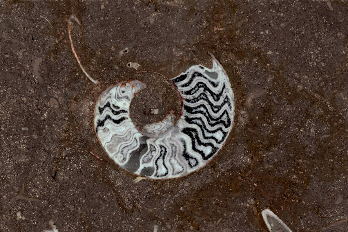 Bespoke Carrara Marble Installations