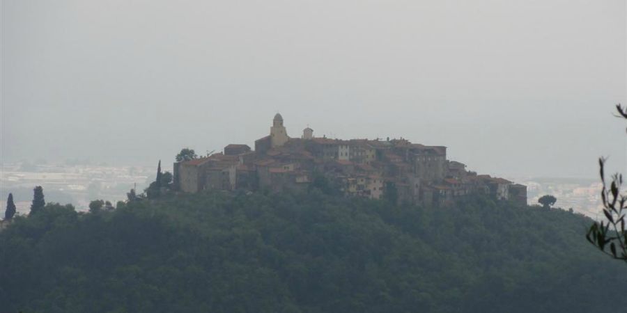 Bespoke Carrara Marble Installations