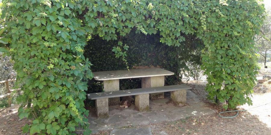 Bespoke Carrara Marble Installations