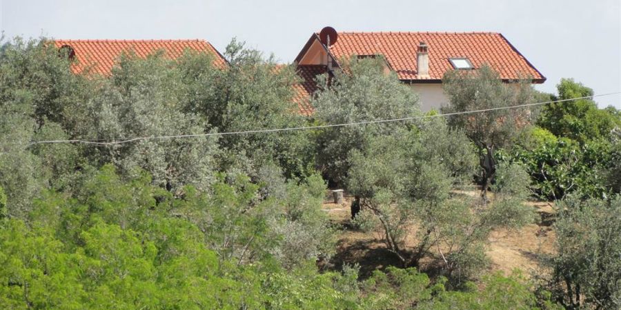 Bespoke Carrara Marble Installations