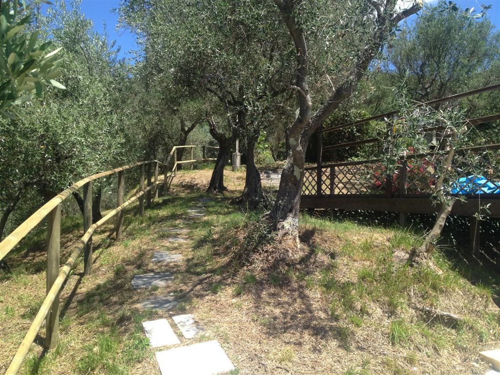 Bespoke Carrara Marble Installations