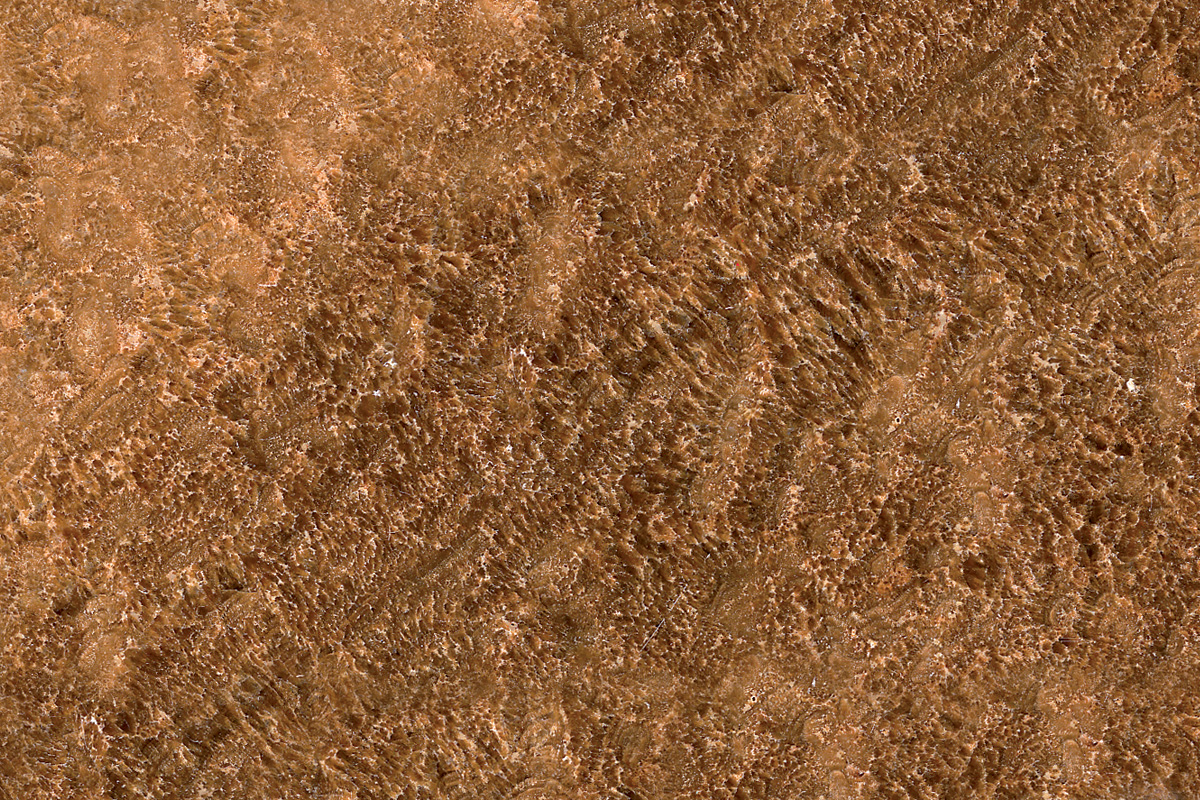 Bespoke Carrara Marble Installations